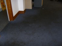 Carpet - before