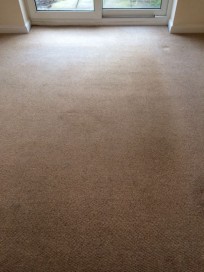 Carpet after